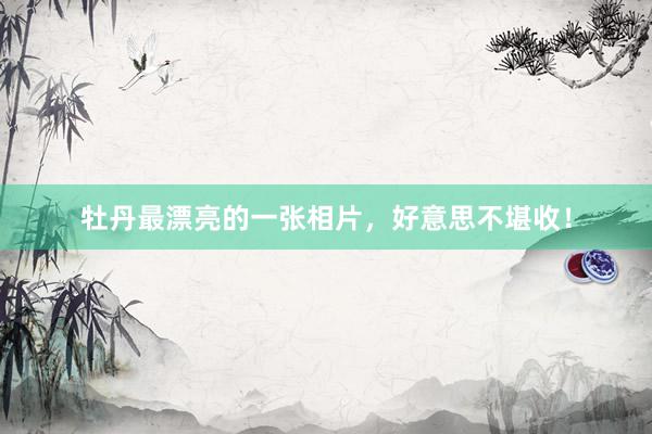 牡丹最漂亮的一张相片，好意思不堪收！