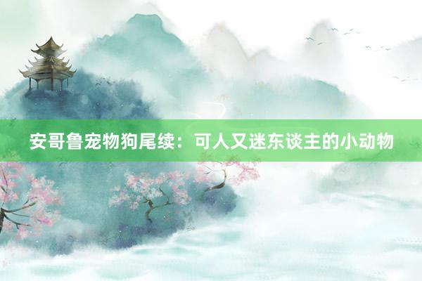 安哥鲁宠物狗尾续：可人又迷东谈主的小动物