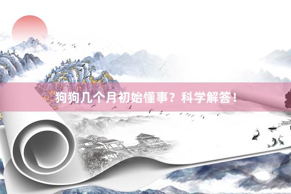 狗狗几个月初始懂事？科学解答！