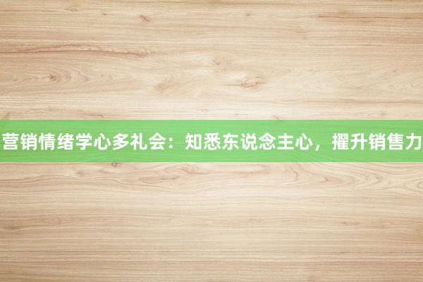 营销情绪学心多礼会：知悉东说念主心，擢升销售力